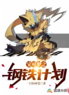 宝可梦之钢铁计划