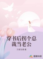 穿书后拐个总裁当老公