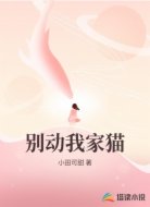 别动我家猫