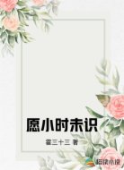 愿小时未识