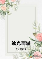 敛光而辅