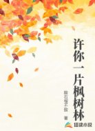 许你一片枫树林