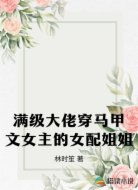满级大佬穿马甲文女主的女配姐姐
