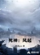 死神:风起