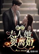 霍總，夫人她要離婚