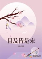 目及皆是宋