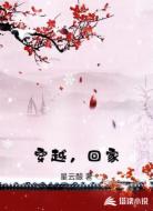 穿越，回家