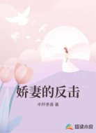娇妻的反击