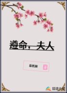 遵命，夫人