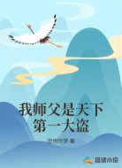 我师父是天下第一大盗