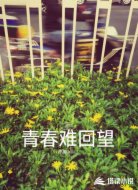 青春难回望