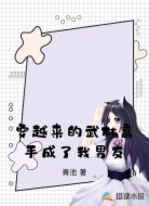 穿越来的武林高手成了我男友