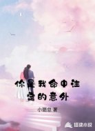 你是我命中注定的意外