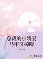 总裁的小娇妻马甲又掉啦