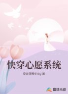 快穿心愿系统