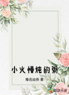 小火慢炖的粥