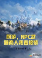 网游，NPC武器商人我直接装