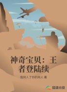 神奇宝贝:王者登陆续