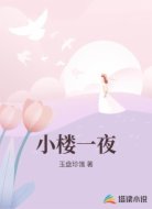 小楼一夜