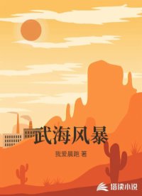 武海风暴