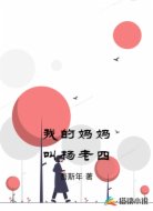 我的妈妈叫杨老四