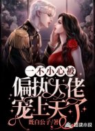 一不小心被偏执大佬宠上天了