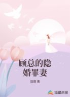顾总的隐婚罪妻
