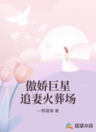 傲娇巨星追妻火葬场