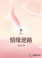 情缘逆路