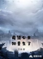 魔道公主她重生了