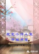 农家小妇人王爷轻点宠
