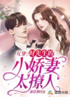 互穿:时先生的小娇妻太撩人