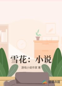雪花：小说