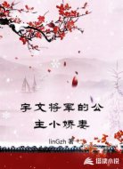 宇文将军的公主小娇妻