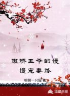 傲娇王爷的慢慢宠妻路