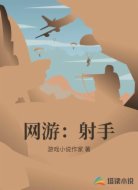网游：射手