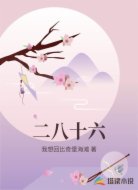 二八十六