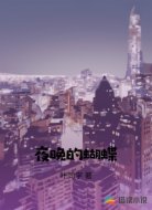 夜晚的蝴蝶