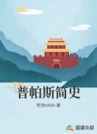 普帕斯简史