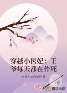 穿越小医妃:王爷每天都在作死