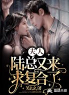 夫人，陆总又来求复合了