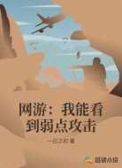 网游:我能看到弱点攻击