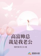 高富帅总裁是我老公