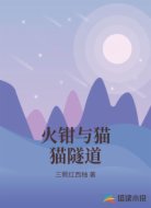 火钳与猫猫隧道