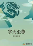 掌天至尊