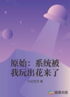 原始：系统被我玩出花来了