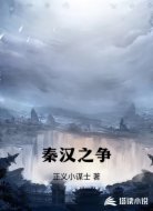 秦汉之争