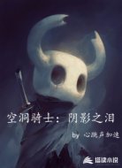 空洞骑士:阴影之泪