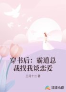 穿书后:霸道总裁找我谈恋爱