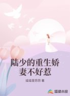 陆少的重生娇妻不好惹